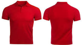 The Essential Polo T-Shirt: Effortless Style & Comfort